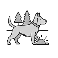 Companion Dog Group Breeds