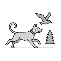 Gun Dog Group Breeds