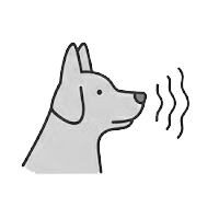 Scenthound Group Breeds