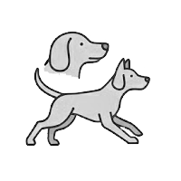 Sighthound and Pariah Dog Group Breeds