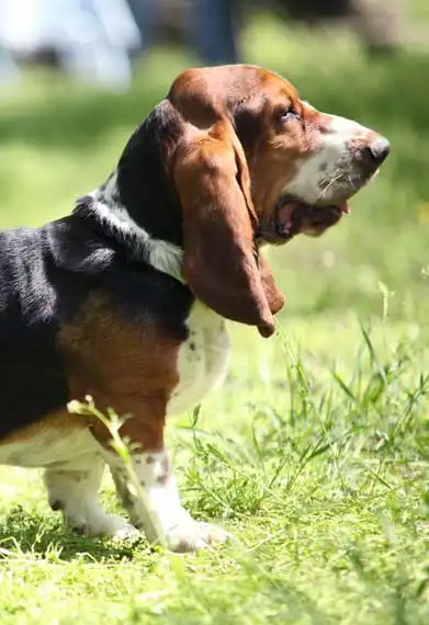 Play & Exercise