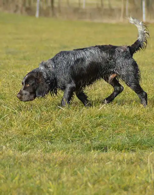 Play & Exercise
