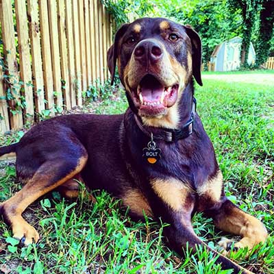 Doberdor