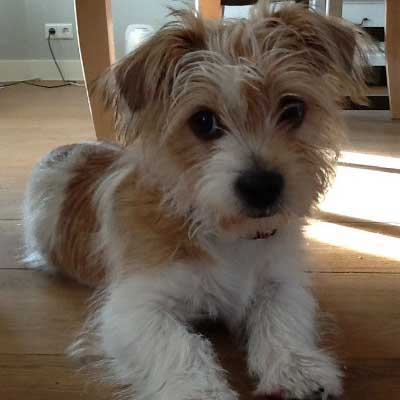 Jack Tzu
