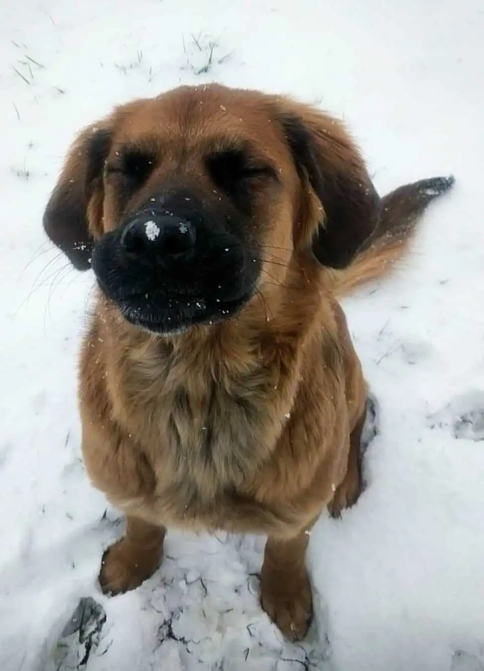 Внешний вид
