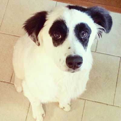 Pyrenees Pit
