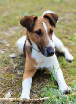 Play & Exercise